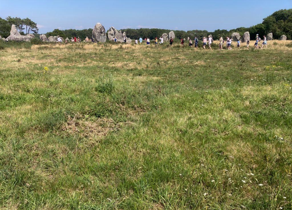 S'approprier les lieux, s'approcher et ressentir, 2024